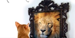 خودآگاهی و ارتباط آن با موفقیت و رضایت