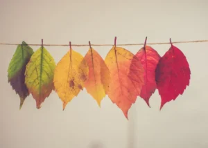 تغییرات مثبت با کوچینگ