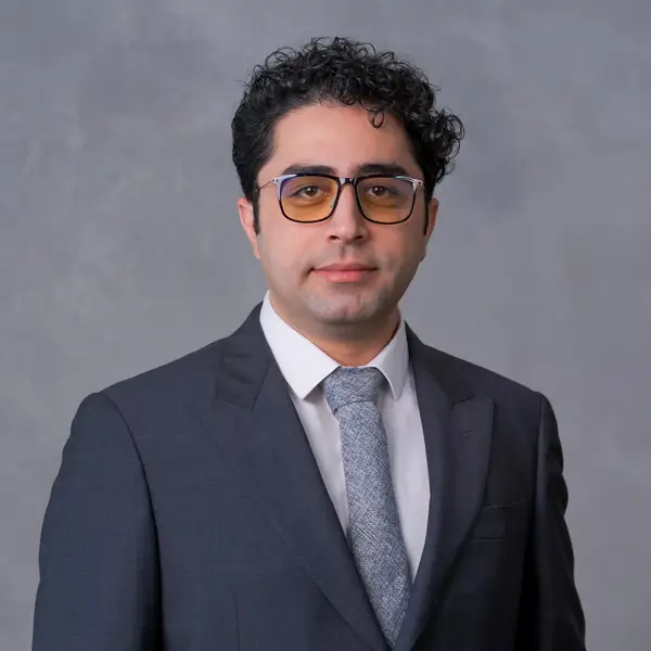 hamid-shendabadi