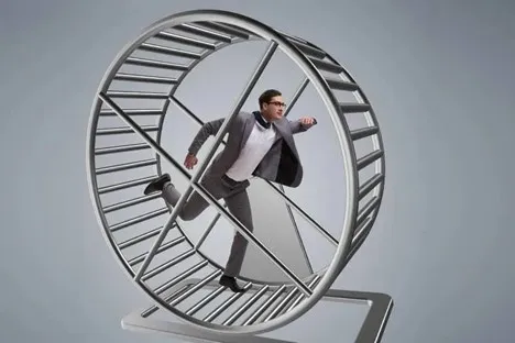 چرخ زندگی ابزاری برای تعادل، خودآگاهی و تحول