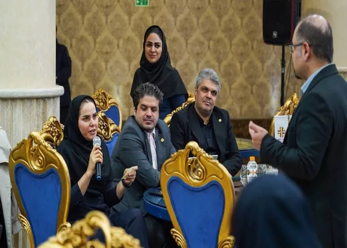 تسهیلگری حرفهای