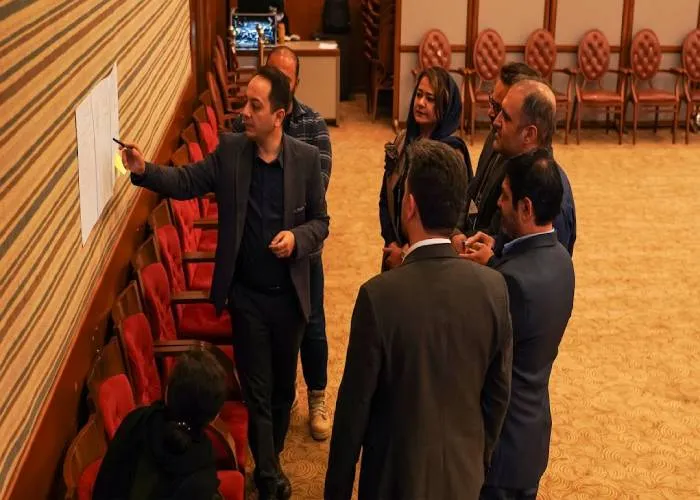 تسهیلگری حرفهای