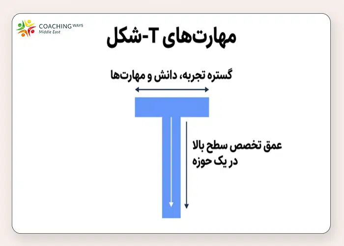 مهارت های T- شکل